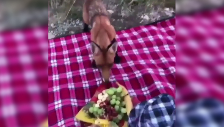 Жительница Ставрополя накормила заглянувшую на пикник лису. Видео