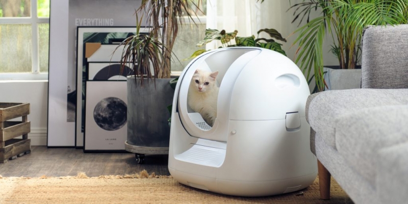 Штука дня: умный кошачий туалет, который возьмёт на себя грязную работу