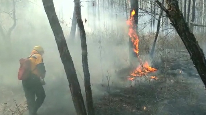 На востоке страны набирают силу лесные пожары