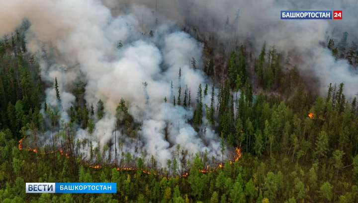 Надвигающаяся на Башкортостан аномальная жара грозит лесными пожарами
