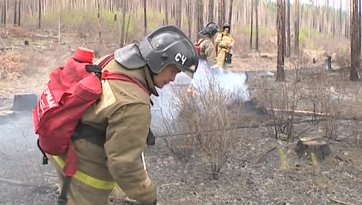 Пожары в России: 2 500 человек тушат более 6 тысяч гектаров леса