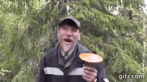 Айтишник поехал на мухоморный ретрит в Сочи и уме...