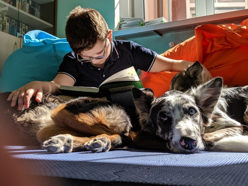 Дети читают собакам любимые книги