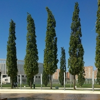 2f6aea41.jpg 2f6aea41.jpg