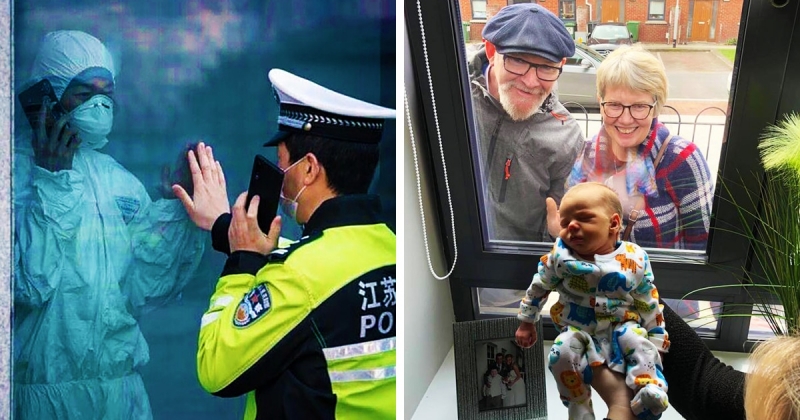 12 трогательных фотографий, на которых люди общаются, не нарушая правил карантина